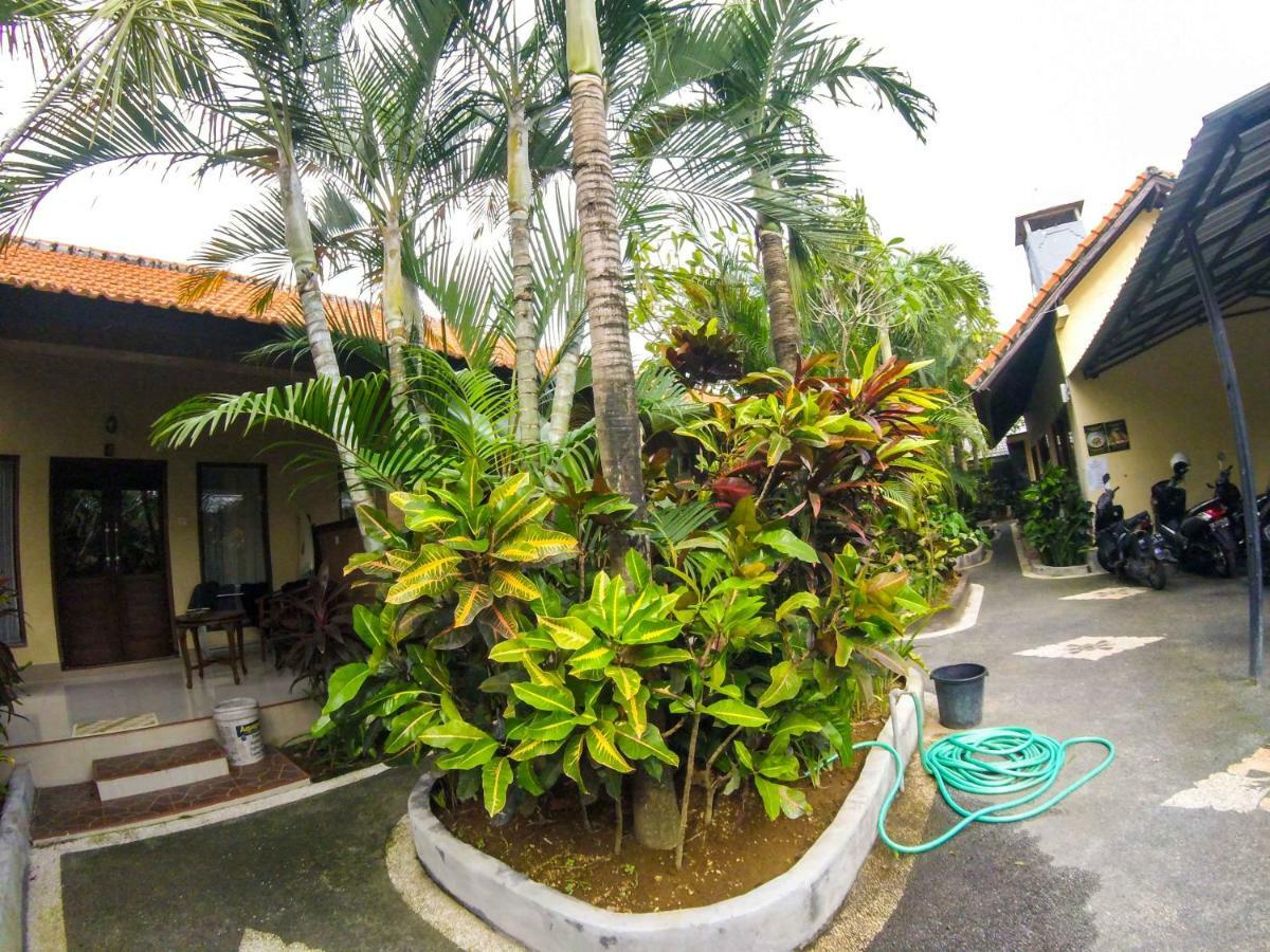 Putu Guest House Canggu Eksteriør billede